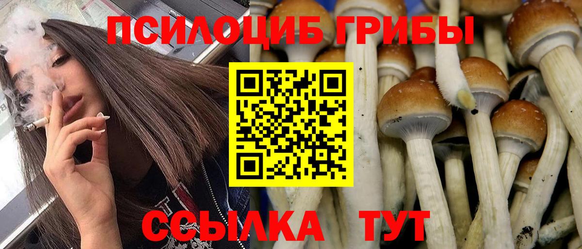 Псилоцибиновые грибы Psilocybine cubensis  Псилоцибиновые грибы Magic Shrooms  Вход с VPN  Кировск 