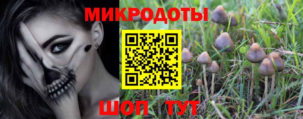 Галлюциногенные грибы Psilocybine cubensis Кировск